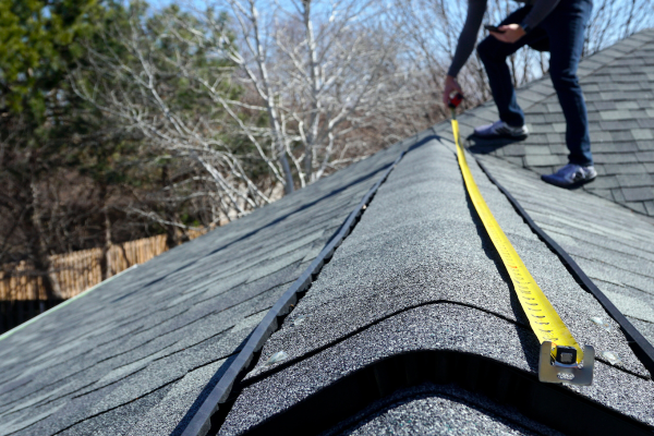 Professional Roof Inspections